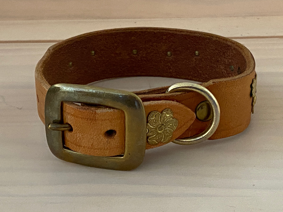 40cm_Last_Of_Medium_Collar-