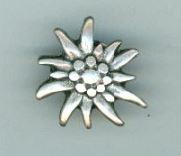 Pewter Edelweiss Pin 1