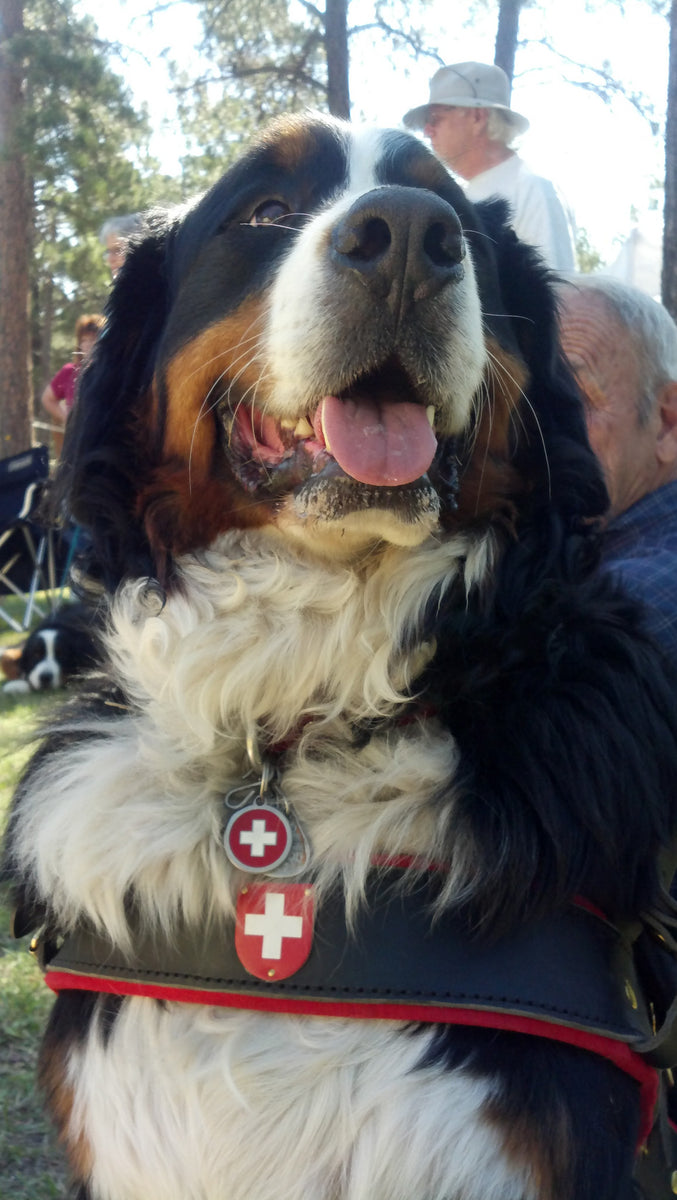 Swiss ID Tags – Alpen Schatz