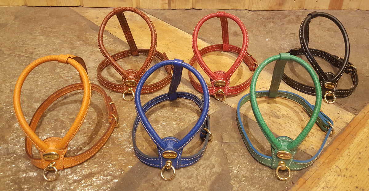 ラッセルノ Harness-MAIN_1200x1200.jpg?v=