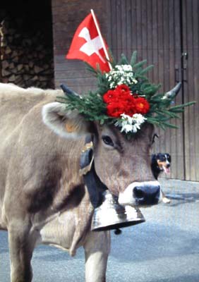 Alpen Schatz™ SWISS Cowbells