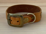 SALE! 1 1/4" Medium Traditional Swiss Dog Collar - 40cm