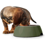 HUNTER Melamine Dog Bowls