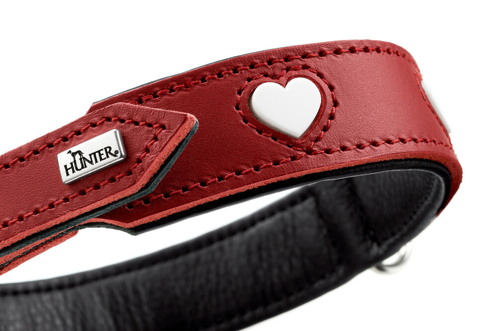 HUNTER 犬用品　L〜XL HUNTER GmbH Swiss Cross Collars made in Germany – Alpen Schatz