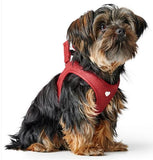Alpen LOVE Harness