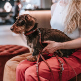 HUNTER "UP" Petit Leather Clip Collar