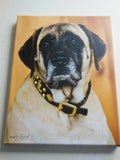 1 3/4" Large Traditional Swiss Dog Collar