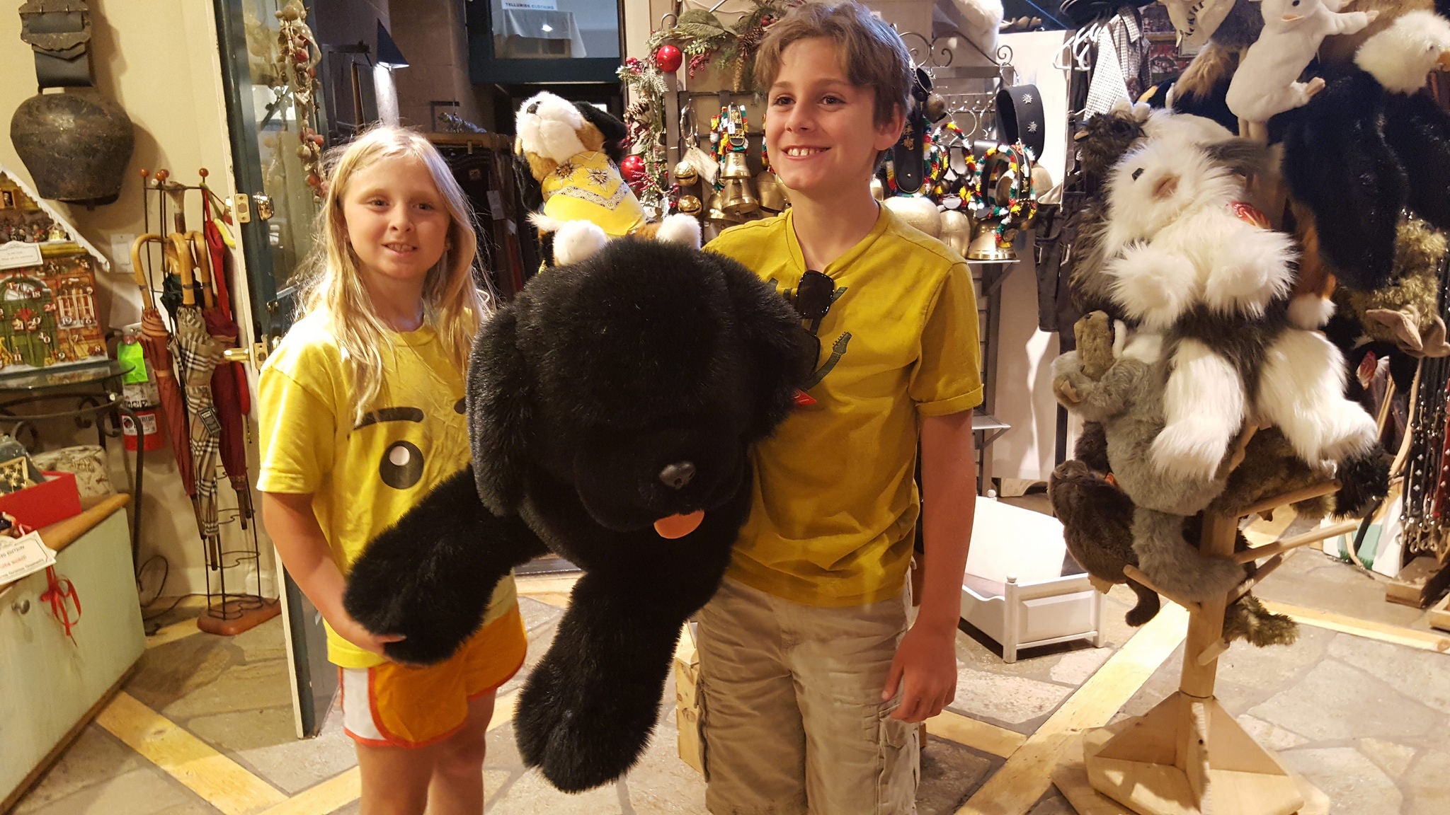 Cute 'n Cuddly Neufoundlands – Alpen Schatz