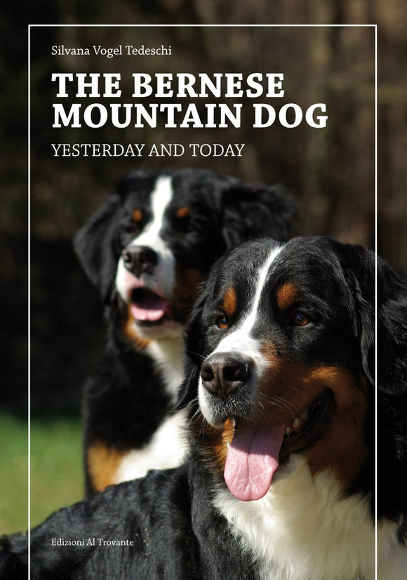 The Bernese Mountain Dog - Yesterday and Today