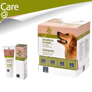 OVERSTOCK SALE! Organic Pet Toothpaste