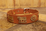 1 1/4" Medium Contemporary Swiss Dog Collar