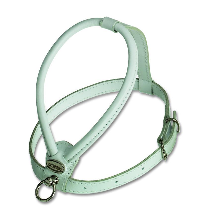 La cinopelca sales