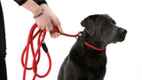 VARIO XL Freestyle Retriever Leashes