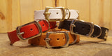 Overstock Sale! 1" Small Traditional Swiss Dog Collar