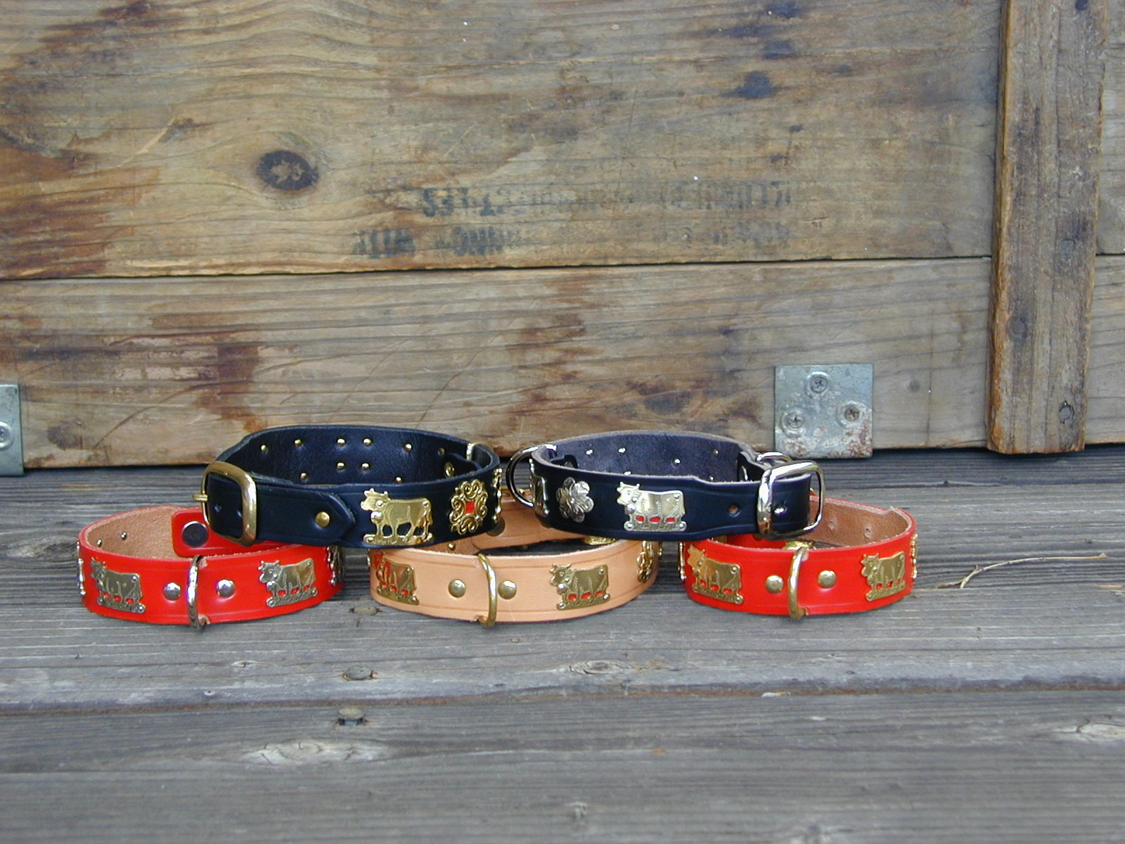 Dog Collars for Sale 