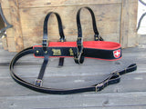 Swiss Draft Harness