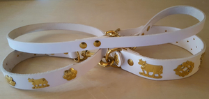 1 1/4" Medium Contemporary Swiss Dog Collar